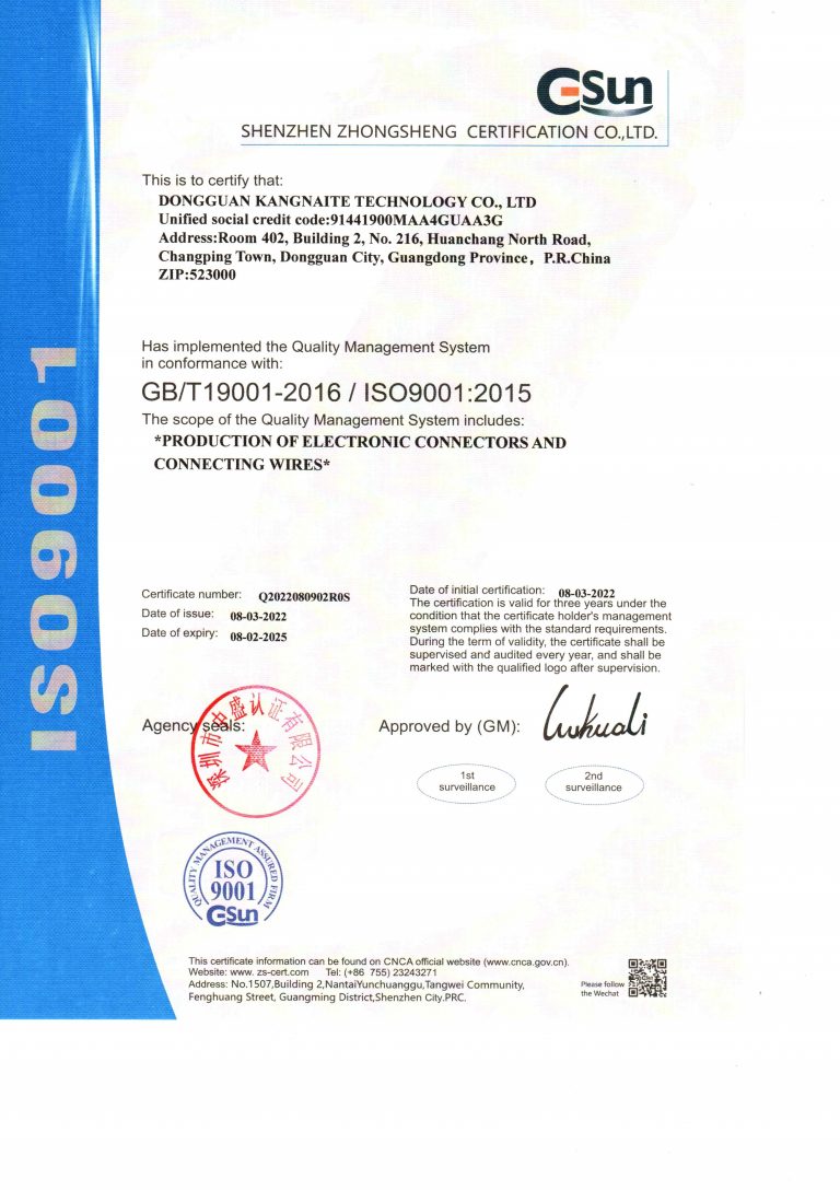 ISO9001英文版